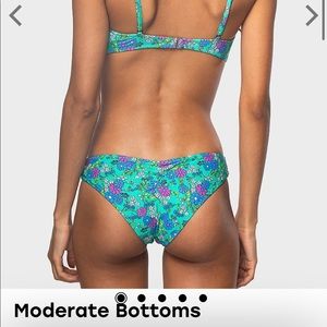 Blackbough swim Moderate bottoms- Daisy Daze